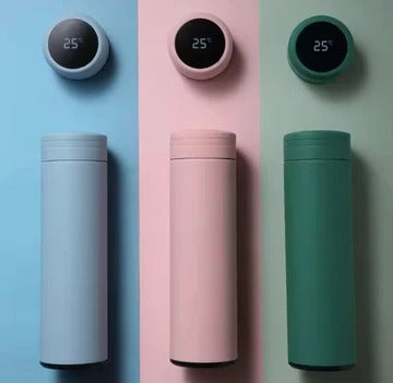 Stainless Steel Temperature Water Bottle 500Ml