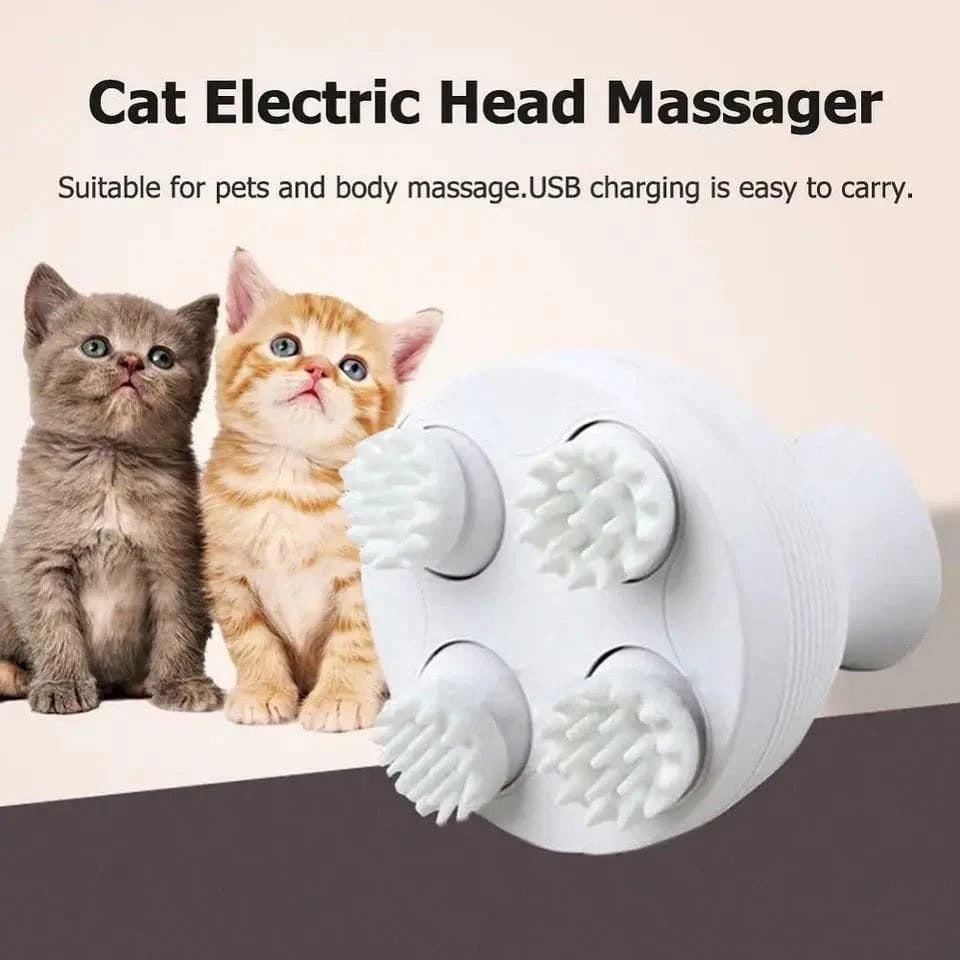 Electric Scalp Massager