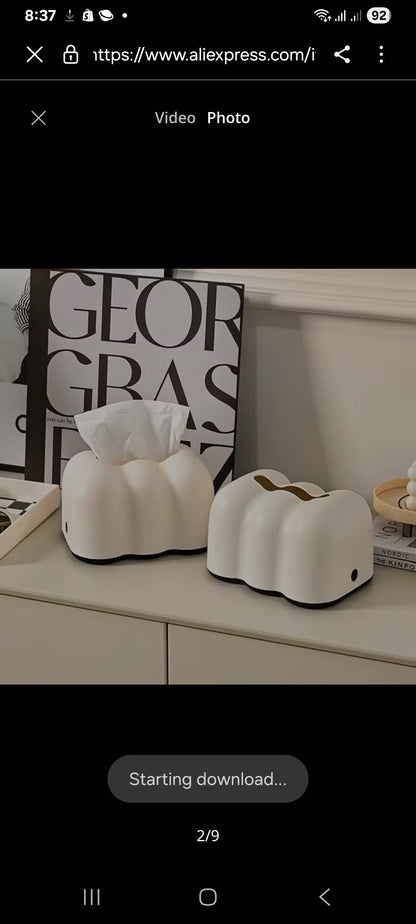 Cream Wind Cloud Tissue Box
Wall-Mounted & Desktop | Decorative Tissue Holder