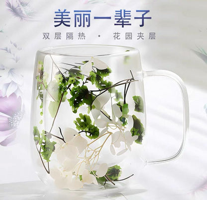 🌸 Double Wall Glass Mug with Dried Flowers (450ml)