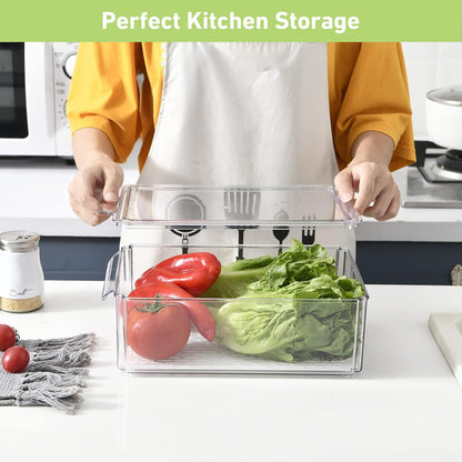 DeerBox Fridge Box – Premium Stackable Fresh-Keeping Storage Containers - My Store