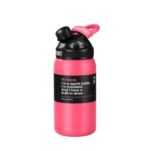 Insulated Stainless Steel Sports Water Bottle with Built-in Straw – 625ml / 700ml