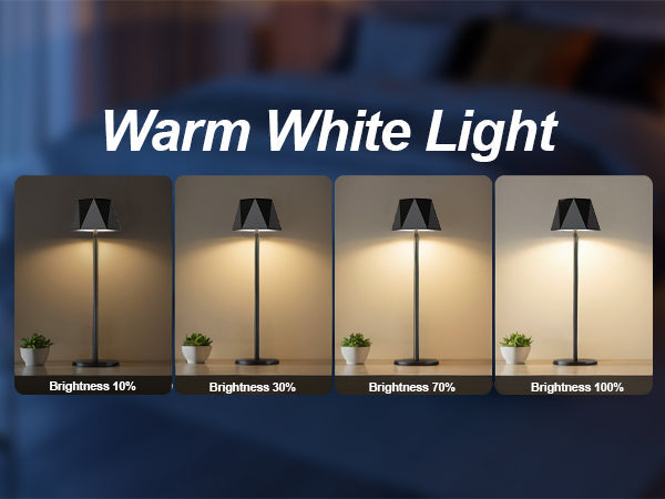 Modern Cordless LED Table Lamp (Hexagonal Design)