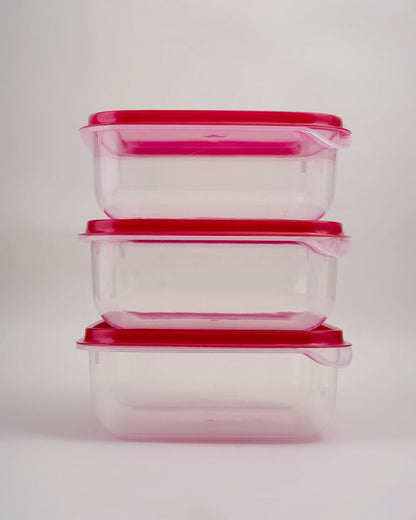 Modern Thumb Lock Container Set of 3 pcs - My Store