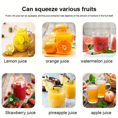 Stainless Steel Manual Citrus Juicer Press